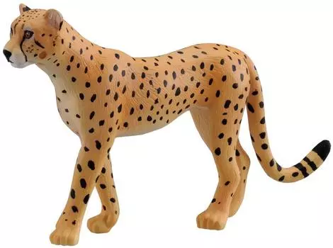 Ania Cheetah AS-13