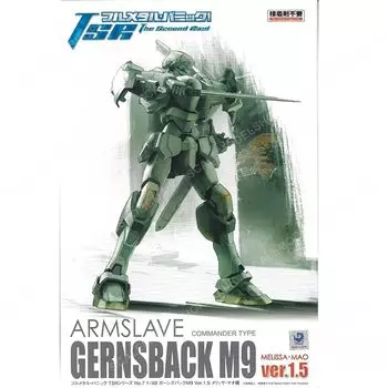 Aoshima Bunka Kyozai Full Metal Panic TSR Armslave Gernsback M9 Melissa Mao Machine Scale Plastic Model No.7 Ver.1.5 1/48