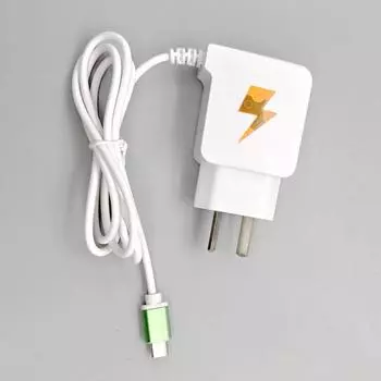 Argentina Standard Horoscope with Cable Wire USB Charger Fixed Cable Android IPTypeC Mobile Phone Charging Head