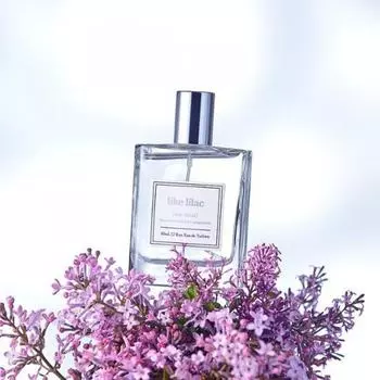 Arolike сирень EDT 50мл