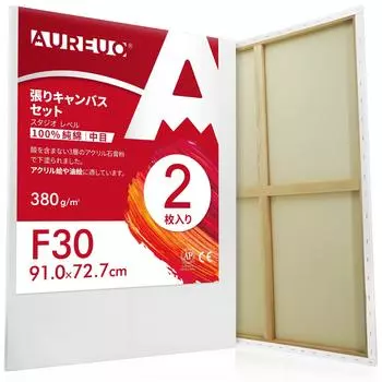 AUREUO Набор натянутых холстов F30 из хлопка средней зернистости, 2 шт. Инструменты для начинающих художников, создание художественной живописи, современная живопись маслом, художественное оформление, может быть