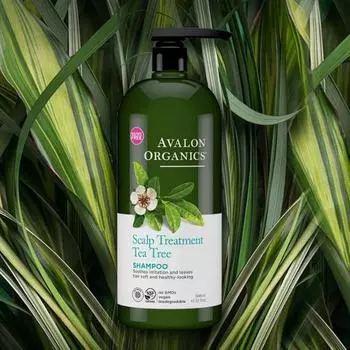 Avalon Organics Шампунь для лечения кожи головы с маслом чайного дерева, большая емкость 946 мл