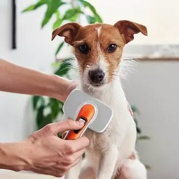Автоматическая щетка для удаления волос Babion Pet Slicker M, корейский шампунь для домашних животных