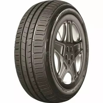 Автомобильные шины Tracmax X-PRIVILO TX2 165/65TR13