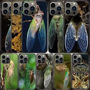 Beautiful Ming cicada shelling Phone Case For Apple Iphone 15 13 12 11 14 Pro Max Mini Cover SE 2020 X XS XR 8 7 6 6S Plus 5 5S iPhone 11