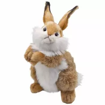 BH3316 HANSA Rabbit 30