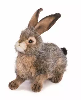BH6284 HANSA Black-tailed Rabbit 25