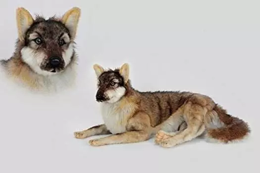 BH6762 Wolf 66