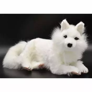 BH6822 HANSA Arctic Fox 40