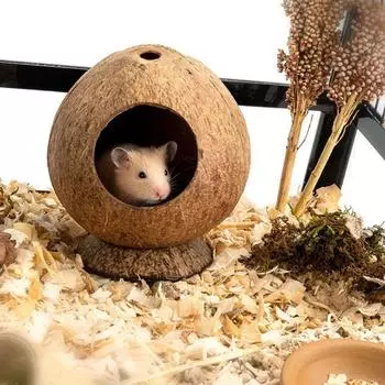 Bite Resistant Coconut Shell Hamster House Stable Structure Hamster Nest Toy For Guinea Pig Rat hamster house