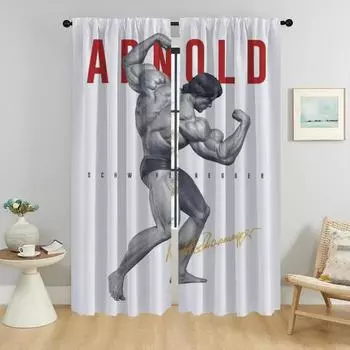 Blackout Curtains for Living Room Curtain Gym Bodybuilder Shades Anti-mosquito Curtains 2 Pieces Tulle for Bedroom Partition W50xH70cmx2pcs-CL