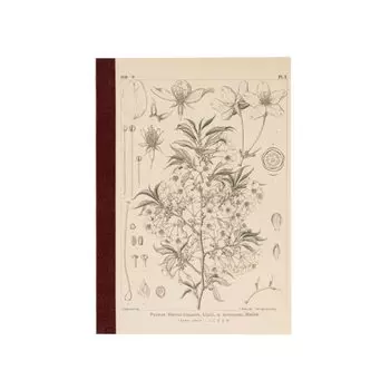 Блокнот Hobonichi Блокнот Tomitaro Graph Блокнот Yamazakura Graphs 288 страниц в линейку 4 цвета Аксессуары для блокнота Makino/Hobonichi (A5) 3.7mm