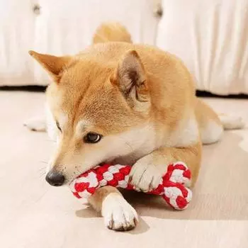 Bones Shape Dog Toys for Small Large Dogs Bite Resistant Teething Cleaning Chew Toy Cotton Pet Puppy Molar Toys Pets Products красный