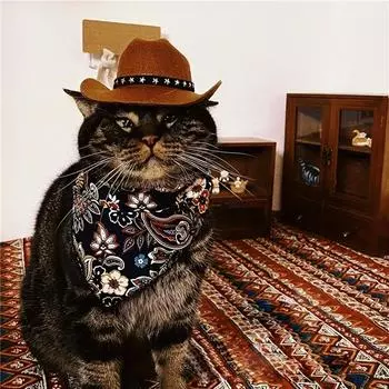 British Pet Dog Hat Star Cowboy Caps Pet Supplies Adjustable Dog Costume Top Hat Headwear Pet Hat Dogs Caps Pet Sun Hats For Cat чёрный
