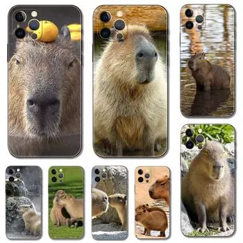 Чехол для телефона Capybara для iPhone 5 5S 2020se 6 6s 7 8 plus x 10 XR XS 11 12 13 mini pro MAX, черная задняя крышка из ТПУ iphone 5 5S SE 2016