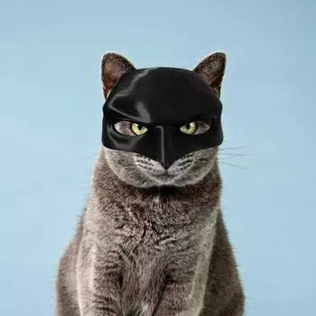 Подушка для лица кошки, летучая мышь, шляпа для косплея, жуткая атмосфера Хэллоуина, реквизит, пластиковый черный грим M
