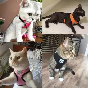 Cat Harness and Leash Escape Proof Adjustable Vest Harnesses for Cats Reflective Cat Harness Breathable Soft Kitty Puppy Harness S (1.5-2.5kg) фиолетовый