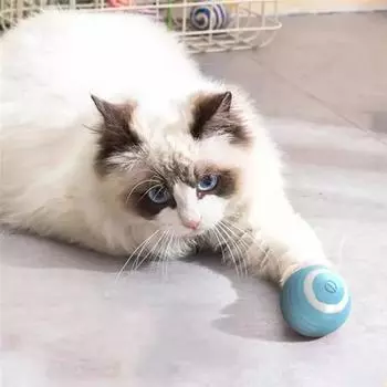 Cat Interactive Ball Smart Cat Toys Indoor Automatic Rolling Magic Ball Electronic Interactive Cat Toy Game Accessories розовый