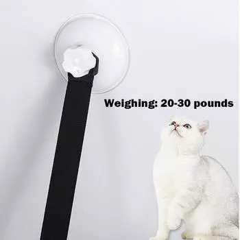 Cats Pet House Hanging Type Suction Cup Cat s House Living Room Cat Training Supplies Items for Home and Comfort Accessories