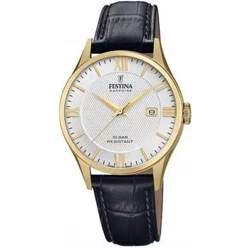 Часы Festina F20010/2