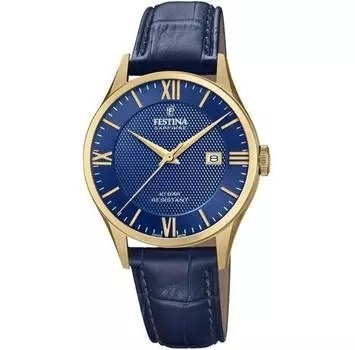 Часы Festina F20010/3