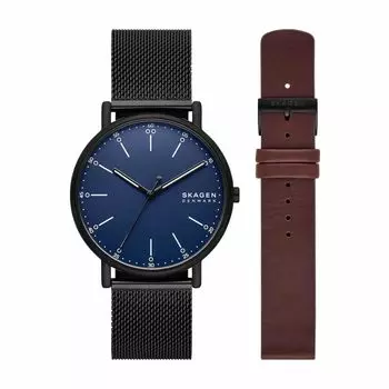 Часы SIGNATUR SKW6933SET Черные [Skagen] Мужские чёрный