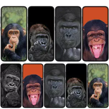 Чехол для iPhone 15 14 Xiaomi Redmi Note 13 12 11 Pro Max X 8 7 9 XR Samsung Galaxy S24 S23 A05 OPPO A15 Huawei Monkey Gorilla Ape Baby Phone Case