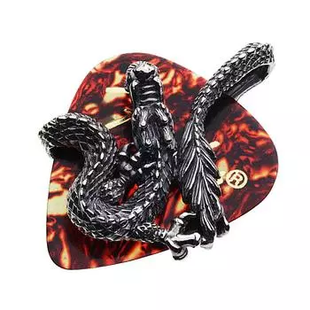 Чехол для медиатора Dragon Guitar Pick Case Pendant Silver p0657 [Cenote] [925 Аксессуар]