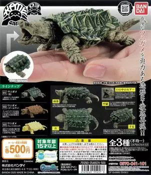 Черепаха 03 Все 3 типа Gacha Gacha [Полная версия]
