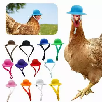 Chicken Hat For Hens Tiny Pets Adjustable Multicolored Chicken Decorative Products Hen Top Hat For Hens Cute Decoration Hat Cute