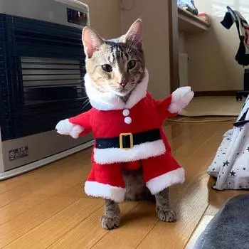Christmas Cat Clothes For Small Dogs Cats Autumn Winter Warm Kitten Costumes Santa Claus Pet Outfits New Year Gift Cat Jacket XS красный
