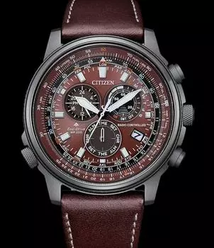 CITIZEN Promaster Sky Perpetual World Time SS мужские часы CB5868-09X