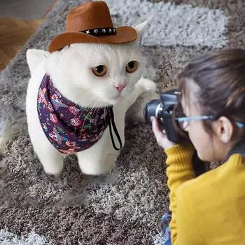 Classic Small pet Cowboy Hat for Dogs cats Cowboy Hat pet Halloween Costumes Party Decoration Pet role-playing hat mini cowboy hat 13.5cm
