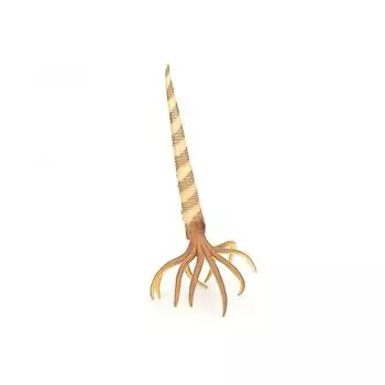 COLLECTA dinosaur figures Orthoceras 88903