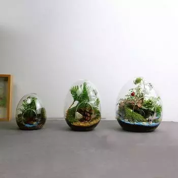 Creative Egg-shaped Glass Bottles High Quality Succulent Glass Vase Micro Landscape Glass Home Decoration Viewing Bottle
