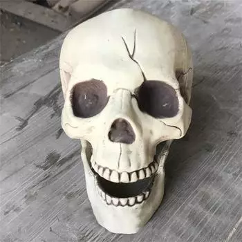 Creepy Plastic Open Mouth Skeleton Haunted House Decor Halloween Prop One Size