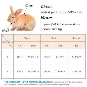 Cute Bunny Guinea Pig Costume for Small Animal Dwarf Rabbit Chinchillas School Uniform Clothes with Harness mascotas Accessories S-suit 0.2-1kg