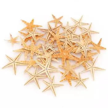 Cute Crafts Epoxy Resin Shell Conch Fish Tank Decoration Starfish Resin Casting Aquarium Supplies 3-5cm-20pcs