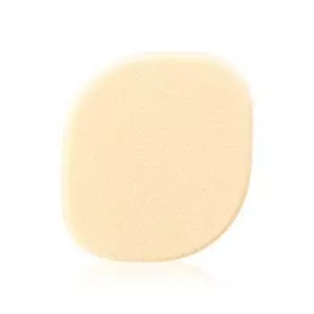 d program foundation sponge liquid
