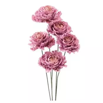 Daichi Farm Dried Flower Fern Rose Crystal Pink (5 pieces) DO30080-110
