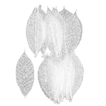 Daichi Farm Dried Flower Mini Skeleton Leaf Large White 40 pieces Approx. L7~9cm DO051494-011