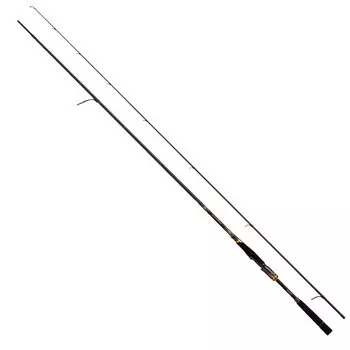 DAIWA 20 More Than Branzino EX AGS 1010MLM