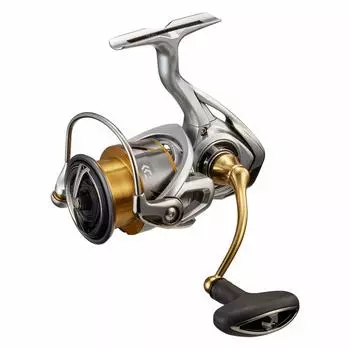 DAIWA 21 Freems LT3000