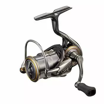 Daiwa 21 LUVIAS AIRITY FC LT1000S-P