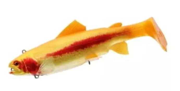 DAIWA Big Bait PROREX Live Trout Swimbait DF 250mm Aqua Bonita Lure