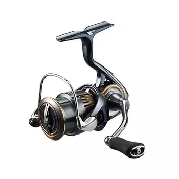 Daiwa LT2000S-H Light Salt, местная форель, местная форель, спиннинговая катушка, 23AIRITY