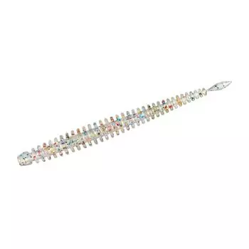 DAIWA Moonlight Beauty Aging Beam Vachicon Custom Flyer Sushi Dot Glow STG2.8