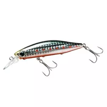 DAIWA Sea Bass Minnow More Than Basole Minnow Multi Sardine 73S Lure