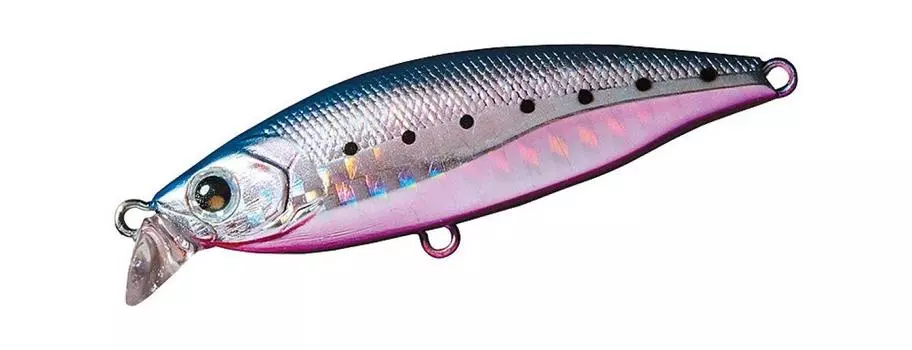 DAIWA Sea Bass Sinking Minnow More Than Groovin Bullpin Sardine 65S Lure