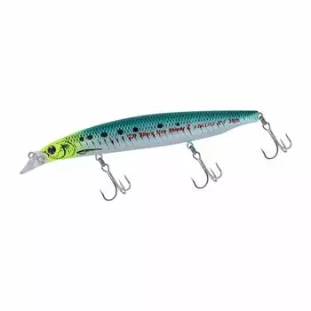 DAIWA Seabass Minnow Shoreline Shiner Z Vertis R 30th Aya Chart Sardine